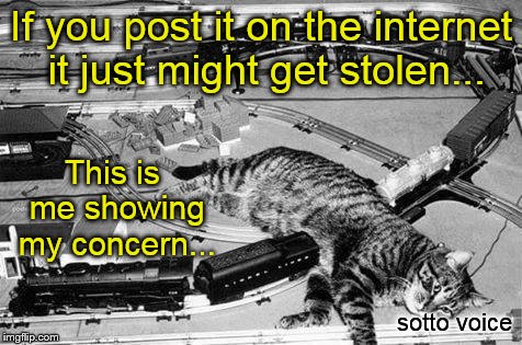 If you post it on the internet it just might get stolen... This is me showing my concern... sotto voice | image tagged in cat | made w/ Imgflip meme maker