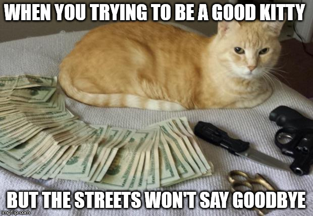 Thug life | WHEN YOU TRYING TO BE A GOOD KITTY; BUT THE STREETS WON'T SAY GOODBYE | image tagged in thug life | made w/ Imgflip meme maker