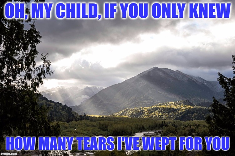 I'll Love You Forever | OH, MY CHILD, IF YOU ONLY KNEW; HOW MANY TEARS I'VE WEPT FOR YOU | image tagged in love,children,tears | made w/ Imgflip meme maker