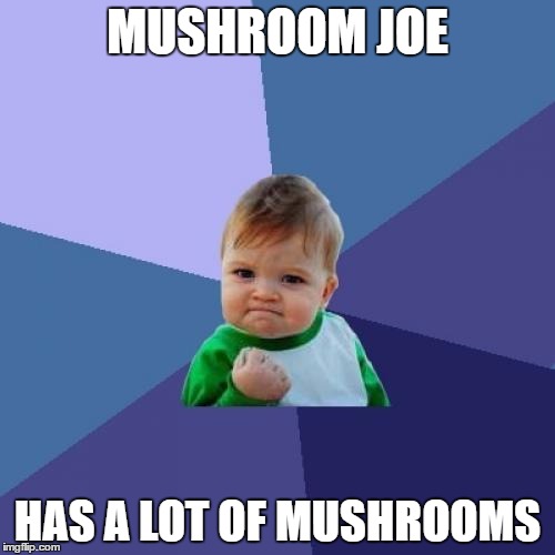 Success Kid Meme | MUSHROOM JOE; HAS A LOT OF MUSHROOMS | image tagged in memes,success kid | made w/ Imgflip meme maker