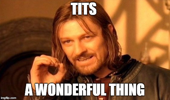 One Does Not Simply | TITS; A WONDERFUL THING | image tagged in memes,one does not simply | made w/ Imgflip meme maker