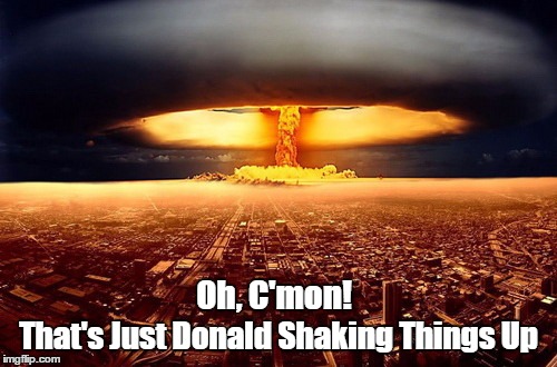 Oh, C'mon! That's Just Donald Shaking Things Up | made w/ Imgflip meme maker