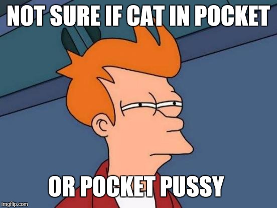 NOT SURE IF CAT IN POCKET OR POCKET PUSSY | image tagged in memes,futurama fry | made w/ Imgflip meme maker