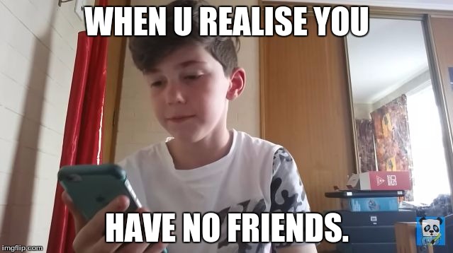 You Have No Friends! |  WHEN U REALISE YOU; HAVE NO FRIENDS. | image tagged in you have no friends | made w/ Imgflip meme maker