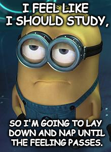 Minion | I FEEL LIKE I SHOULD STUDY, SO I'M GOING TO LAY DOWN AND NAP UNTIL THE FEELING PASSES. | image tagged in minion | made w/ Imgflip meme maker