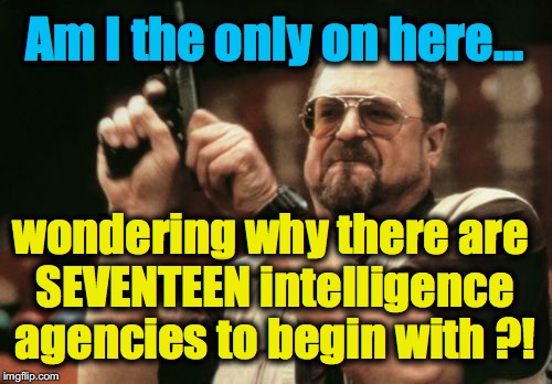 It doesn't matter what they 'agree on'.. why are there that many? | Am I the only on here... wondering why there are SEVENTEEN intelligence agencies to begin with ?! | image tagged in memes,am i the only one around here | made w/ Imgflip meme maker