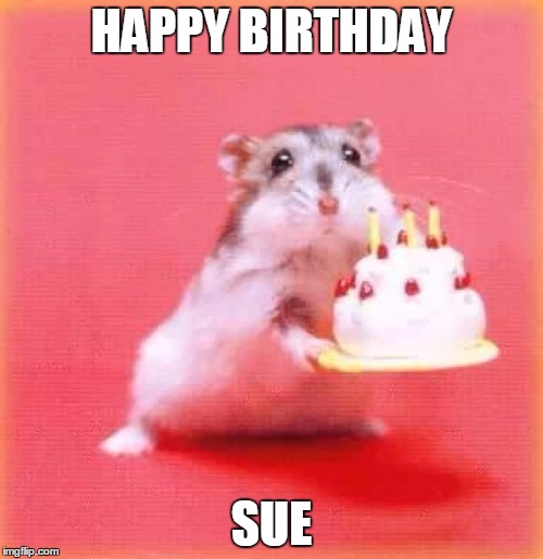 birthday hamster | HAPPY BIRTHDAY; SUE | image tagged in birthday hamster | made w/ Imgflip meme maker