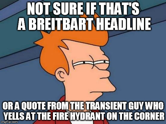 breitbart | NOT SURE IF THAT'S A BREITBART HEADLINE; OR A QUOTE FROM THE TRANSIENT GUY WHO YELLS AT THE FIRE HYDRANT ON THE CORNER | image tagged in memes,futurama fry,headline,breitbart | made w/ Imgflip meme maker