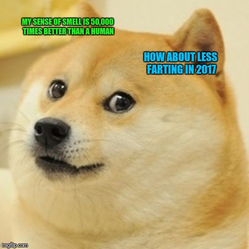 Doge Meme | MY SENSE OF SMELL IS 50,000 TIMES BETTER THAN A HUMAN; HOW ABOUT LESS FARTING IN 2017 | image tagged in memes,doge | made w/ Imgflip meme maker