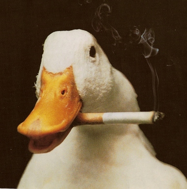 Goose with cigarette Blank Meme Template