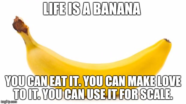 Banana | LIFE IS A BANANA; YOU CAN EAT IT. YOU CAN MAKE LOVE TO IT.
YOU CAN USE IT FOR SCALE. | image tagged in banana | made w/ Imgflip meme maker