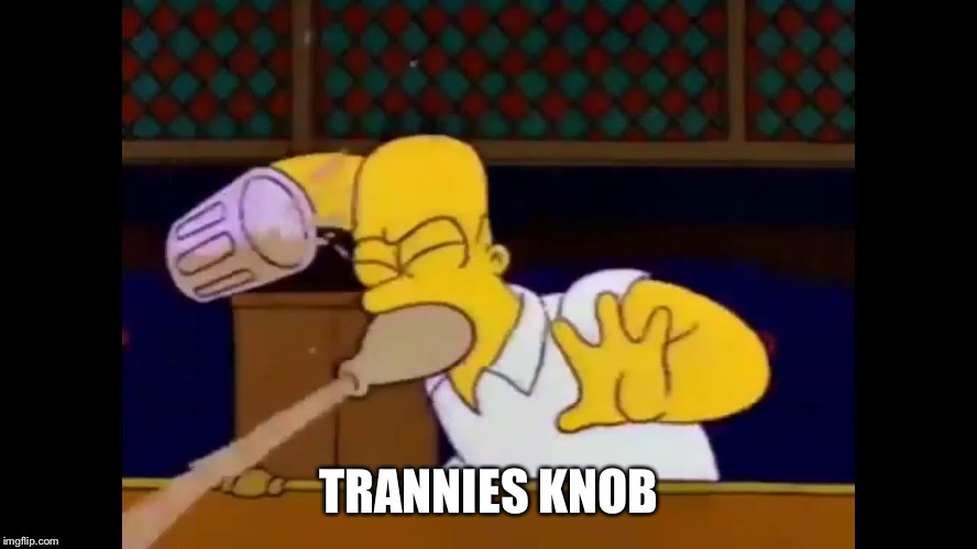 Homer spitting  | TRANNIES KNOB | image tagged in homer spitting | made w/ Imgflip meme maker