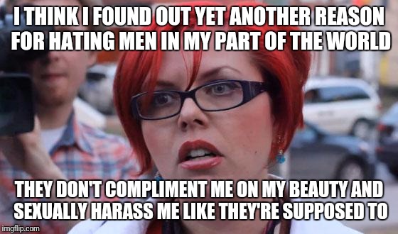 Angry Feminist | I THINK I FOUND OUT YET ANOTHER REASON FOR HATING MEN IN MY PART OF THE WORLD; THEY DON'T COMPLIMENT ME ON MY BEAUTY AND SEXUALLY HARASS ME LIKE THEY'RE SUPPOSED TO | image tagged in angry feminist | made w/ Imgflip meme maker