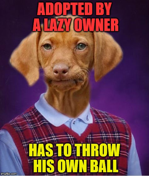 Bad Luck Raydog | ADOPTED BY A LAZY OWNER; HAS TO THROW HIS OWN BALL | image tagged in bad luck raydog | made w/ Imgflip meme maker