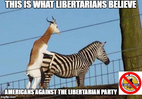 This Is What Libertarians Believe | THIS IS WHAT LIBERTARIANS BELIEVE; AMERICANS AGAINST THE LIBERTARIAN PARTY | image tagged in party,libertarian,sex,against,americans,memes | made w/ Imgflip meme maker