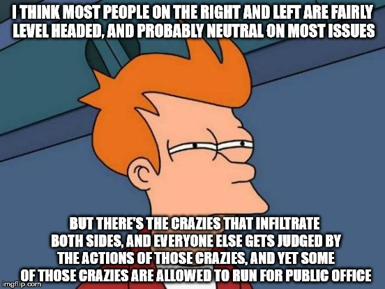 Futurama Fry Meme | I THINK MOST PEOPLE ON THE RIGHT AND LEFT ARE FAIRLY LEVEL HEADED, AND PROBABLY NEUTRAL ON MOST ISSUES BUT THERE'S THE CRAZIES THAT INFILTRA | image tagged in memes,futurama fry | made w/ Imgflip meme maker