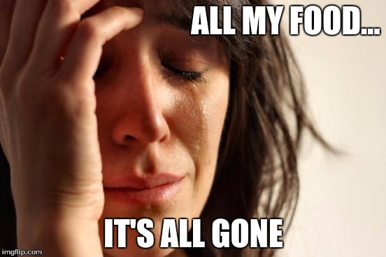 First World Problems Meme | ALL MY FOOD... IT'S ALL GONE | image tagged in memes,first world problems | made w/ Imgflip meme maker
