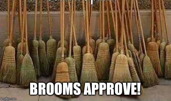 BROOMS APPROVE! | made w/ Imgflip meme maker