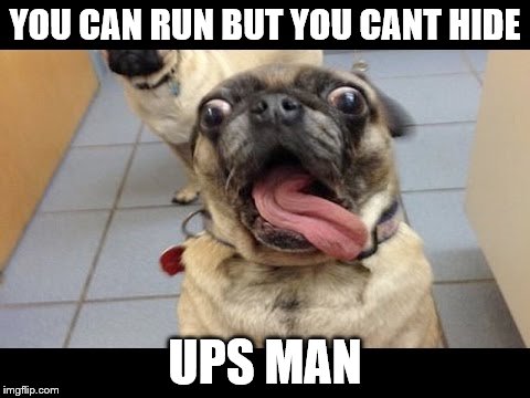 YOU CAN RUN BUT YOU CANT HIDE; UPS MAN | image tagged in no escape | made w/ Imgflip meme maker
