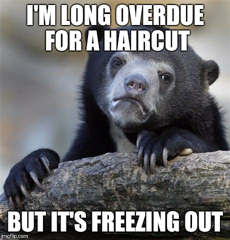 Confession Bear Meme - Imgflip