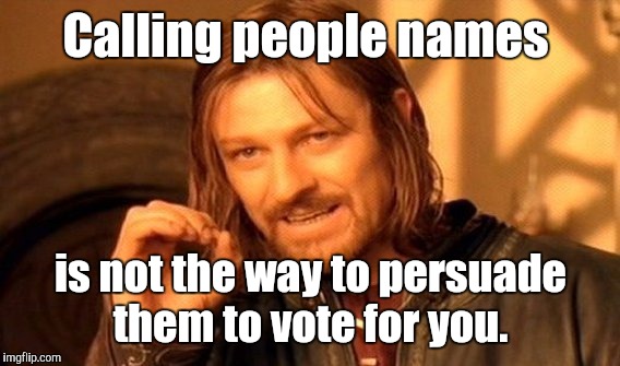 One Does Not Simply Meme | Calling people names is not the way to persuade them to vote for you. | image tagged in memes,one does not simply | made w/ Imgflip meme maker