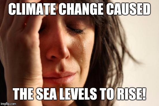 First World Problems Meme | CLIMATE CHANGE CAUSED THE SEA LEVELS TO RISE! | image tagged in memes,first world problems | made w/ Imgflip meme maker