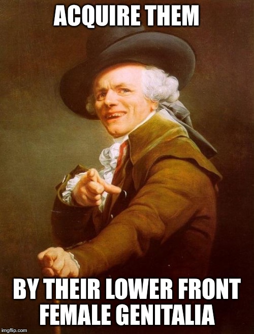 Joseph Ducreux Meme | ACQUIRE THEM; BY THEIR LOWER FRONT FEMALE GENITALIA | image tagged in memes,joseph ducreux | made w/ Imgflip meme maker