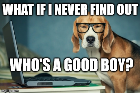 Who's a good boy? |  WHAT IF I NEVER FIND OUT; WHO'S A GOOD BOY? | image tagged in dog,psychology,question | made w/ Imgflip meme maker