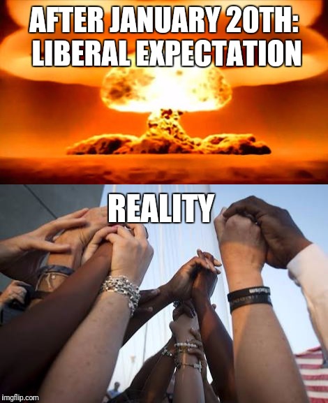 Where is the USA headed in 2017? | AFTER JANUARY 20TH: LIBERAL EXPECTATION; REALITY | image tagged in trump 2016,2017,liberal logic,liberals | made w/ Imgflip meme maker