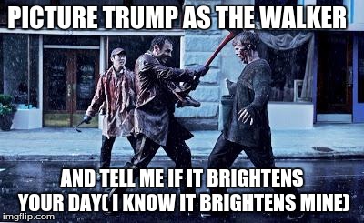 the walking dead | PICTURE TRUMP AS THE WALKER; AND TELL ME IF IT BRIGHTENS YOUR DAY( I KNOW IT BRIGHTENS MINE) | image tagged in the walking dead | made w/ Imgflip meme maker