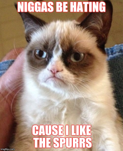 Grumpy Cat Meme | NIGGAS BE HATING; CAUSE I LIKE THE SPURRS | image tagged in memes,grumpy cat | made w/ Imgflip meme maker