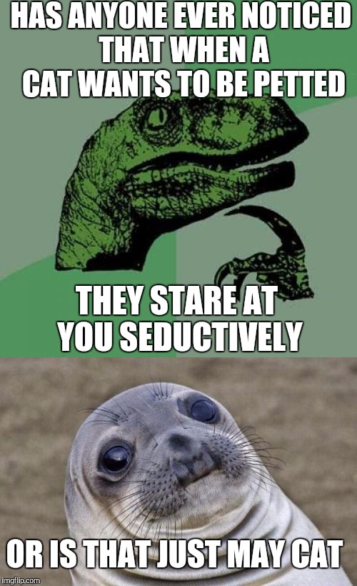 HAS ANYONE EVER NOTICED THAT WHEN A CAT WANTS TO BE PETTED; THEY STARE AT YOU SEDUCTIVELY; OR IS THAT JUST MAY CAT | image tagged in memes,philosoraptor,awkward moment sealion,cats | made w/ Imgflip meme maker