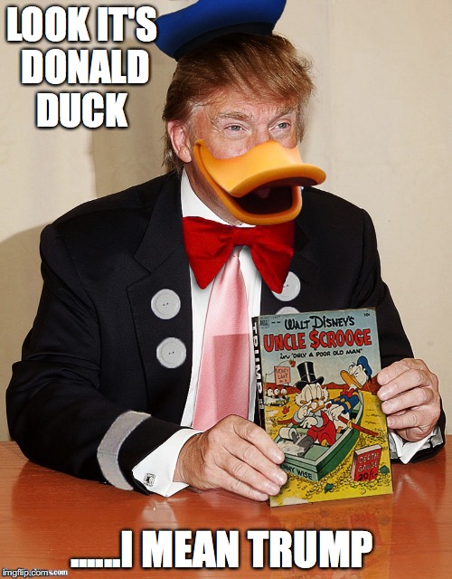 Donald Ducks Out | LOOK IT'S DONALD DUCK; ......I MEAN TRUMP | image tagged in donald ducks out | made w/ Imgflip meme maker
