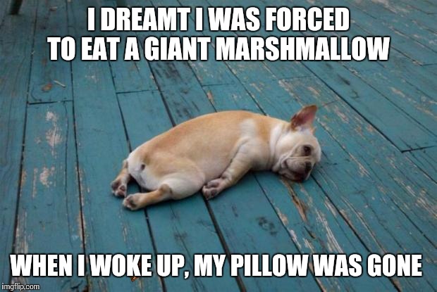 Sleepy dog |  I DREAMT I WAS FORCED TO EAT A GIANT MARSHMALLOW; WHEN I WOKE UP, MY PILLOW WAS GONE | image tagged in sleepy dog,scumbag | made w/ Imgflip meme maker