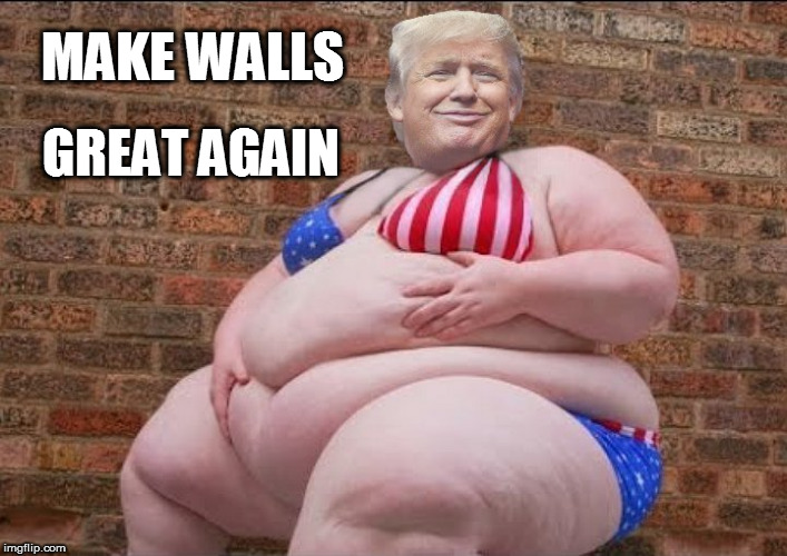 trump's wall | MAKE WALLS; GREAT AGAIN | image tagged in fucktrump,dumptrump,donald trump the clown,trumps wall,fat trump,fat bitch | made w/ Imgflip meme maker