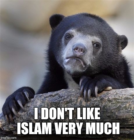 Confession Bear | I DON'T LIKE ISLAM VERY MUCH | image tagged in memes,confession bear | made w/ Imgflip meme maker