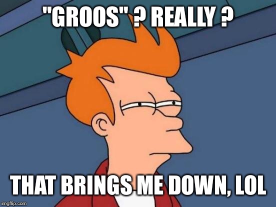 Futurama Fry Meme | "GROOS" ? REALLY ? THAT BRINGS ME DOWN, LOL | image tagged in memes,futurama fry | made w/ Imgflip meme maker