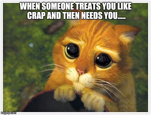 Shrek Cat | WHEN SOMEONE TREATS YOU LIKE CRAP AND THEN NEEDS YOU..... | image tagged in memes,shrek cat | made w/ Imgflip meme maker