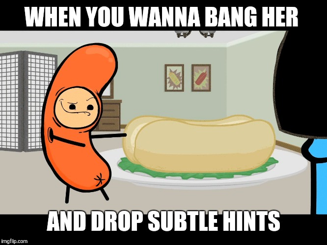 Sexual hotdog | WHEN YOU WANNA BANG HER; AND DROP SUBTLE HINTS | image tagged in sexual hotdog | made w/ Imgflip meme maker