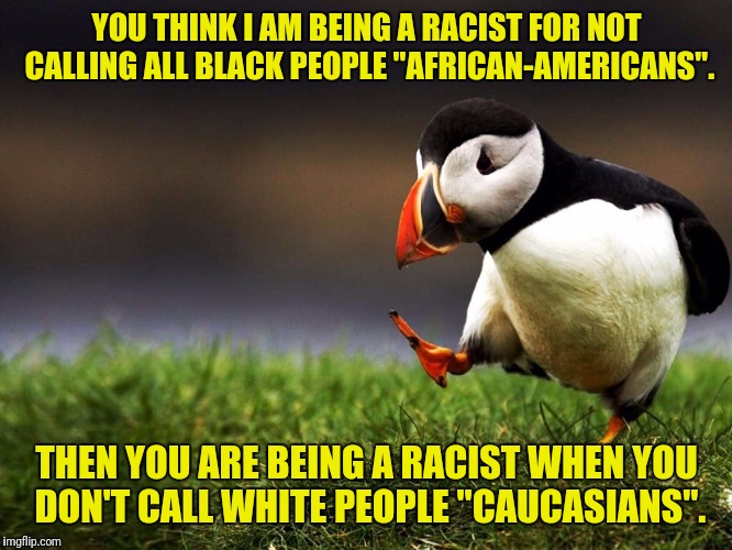 You Can't Have It Both Ways | YOU THINK I AM BEING A RACIST FOR NOT CALLING ALL BLACK PEOPLE "AFRICAN-AMERICANS". THEN YOU ARE BEING A RACIST WHEN YOU DON'T CALL WHITE PEOPLE "CAUCASIANS". | image tagged in unpopular opinion puffin,racism,racist,caucasian,black,sjw | made w/ Imgflip meme maker