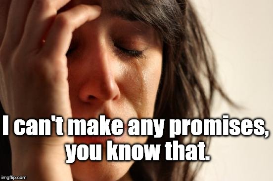 First World Problems Meme | I can't make any promises, you know that. | image tagged in memes,first world problems | made w/ Imgflip meme maker