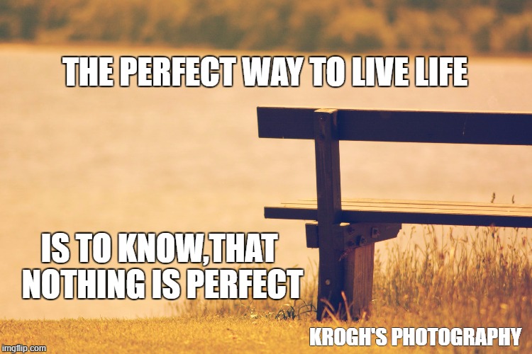 THE PERFECT WAY TO LIVE LIFE; IS TO KNOW,THAT NOTHING IS PERFECT; KROGH'S PHOTOGRAPHY | image tagged in the bench | made w/ Imgflip meme maker