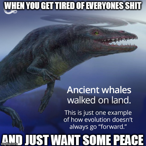 WHEN YOU GET TIRED OF EVERYONES SHIT; AND JUST WANT SOME PEACE | image tagged in whales tired everyone | made w/ Imgflip meme maker