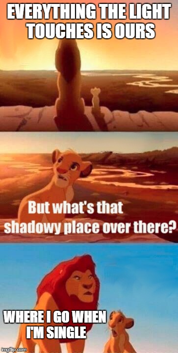 Simba Shadowy Place Meme | EVERYTHING THE LIGHT TOUCHES IS OURS; WHERE I GO WHEN I'M SINGLE | image tagged in memes,simba shadowy place | made w/ Imgflip meme maker