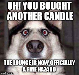 More candles | OH! YOU BOUGHT ANOTHER CANDLE; THE LOUNGE IS NOW OFFICIALLY A FIRE HAZARD | image tagged in bad pun dog | made w/ Imgflip meme maker