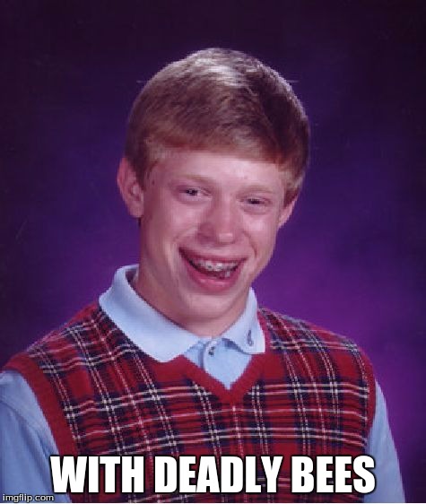 Bad Luck Brian Meme | WITH DEADLY BEES | image tagged in memes,bad luck brian | made w/ Imgflip meme maker