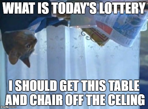 I Should Buy A Boat Cat Meme | WHAT IS TODAY'S LOTTERY; I SHOULD GET THIS TABLE AND CHAIR OFF THE CELING | image tagged in memes,i should buy a boat cat | made w/ Imgflip meme maker