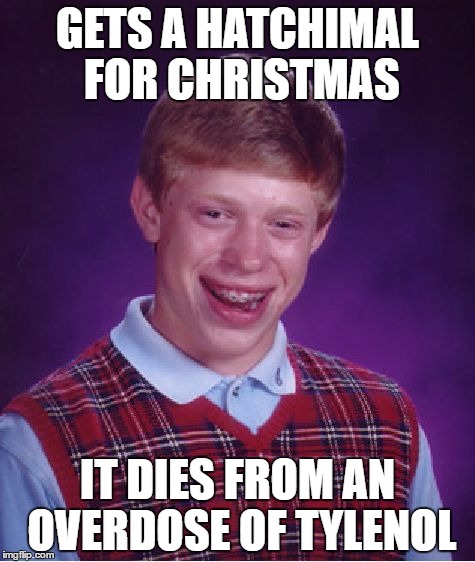 Bad Luck Brian Meme | GETS A HATCHIMAL FOR CHRISTMAS; IT DIES FROM AN OVERDOSE OF TYLENOL | image tagged in memes,bad luck brian | made w/ Imgflip meme maker