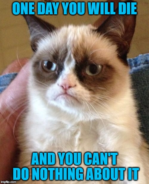 Why do people get depressed? Did they forgot that they are just some biological organisms that have no idea why they are here? | ONE DAY YOU WILL DIE; AND YOU CAN'T DO NOTHING ABOUT IT | image tagged in memes,grumpy cat | made w/ Imgflip meme maker