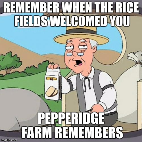 Pepperidge Farm Remembers | REMEMBER WHEN THE RICE FIELDS WELCOMED YOU; PEPPERIDGE FARM REMEMBERS | image tagged in memes,pepperidge farm remembers | made w/ Imgflip meme maker